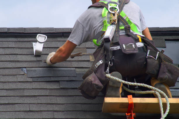 Best Shingle Roofing Installation  in Tekamah, NE