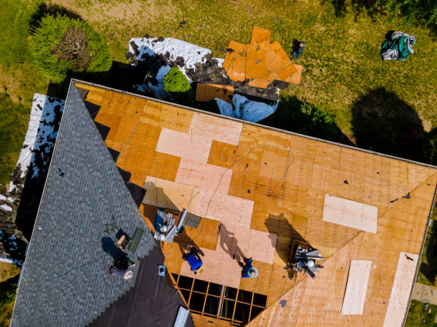 Best Local Roofing Companies  in Tekamah, NE