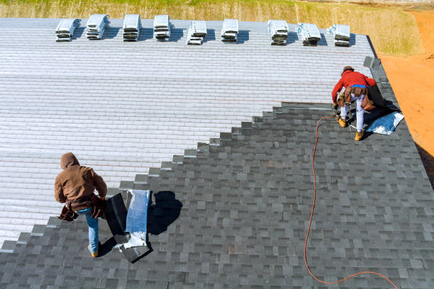Best Residential Roofing Contractor  in Tekamah, NE