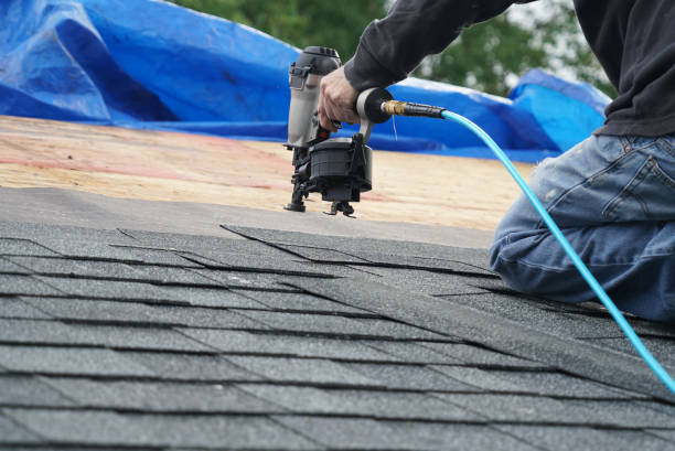 Best Flat Roof Repair Services  in Tekamah, NE